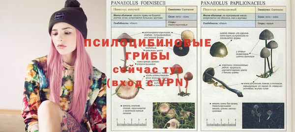 эйфоретик Арсеньев